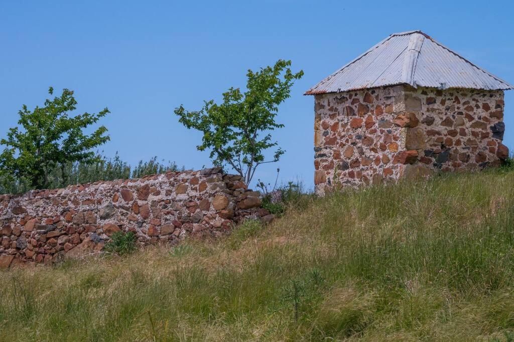 *Newly Relisted* Coach House At Lisdillon Vineyard Βίλα Little Swanport Εξωτερικό φωτογραφία