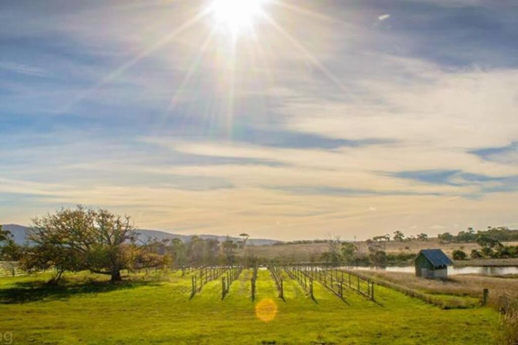 *Newly Relisted* Coach House At Lisdillon Vineyard Βίλα Little Swanport Εξωτερικό φωτογραφία
